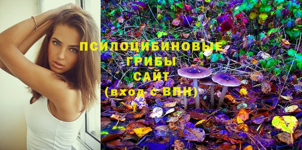дмт Сосновый Бор