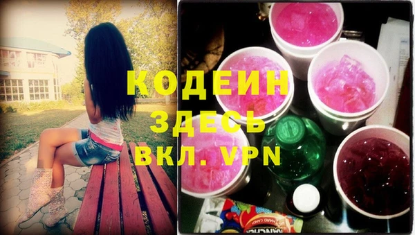 хмурый Сосновка