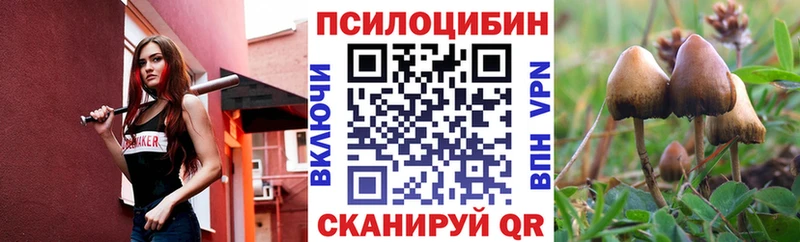 дарк нет какой сайт  Артёмовский  Псилоцибиновые грибы Magic Shrooms 